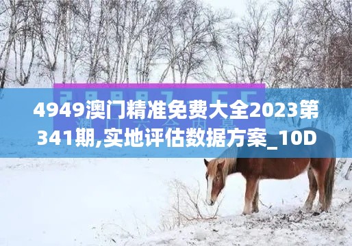 4949澳门精准免费大全2023第341期,实地评估数据方案_10DM16.418