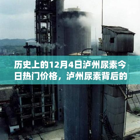 泸州尿素今日热门价格背后的温情故事，友情、家庭与陪伴的温馨日常