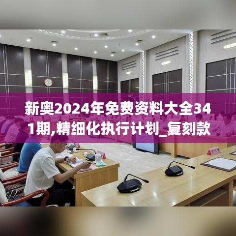 新奥2024年免费资料大全341期,精细化执行计划_复刻款8.649