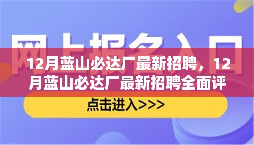 蓝山必达厂最新招聘动态，全面评测与详细介绍