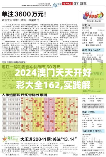 2024澳门天天开好彩大全162,实践解答解释定义_投资版8.897