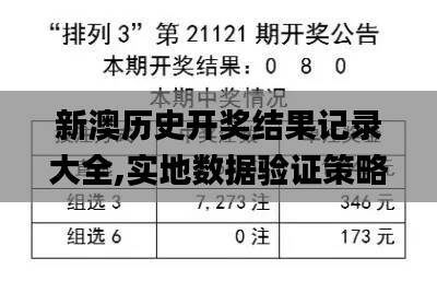 新澳历史开奖结果记录大全,实地数据验证策略_7DM7.118