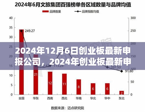 2024年创业板最新申报公司步骤指南，初学者与进阶用户必备