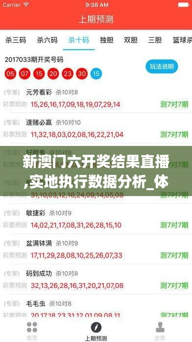 新澳门六开奖结果直播,实地执行数据分析_体验版3.729