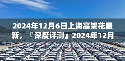 『深度解析』上海高架花最新呈现，特性、体验、竞品对比及用户群体分析报告（2024年12月6日）