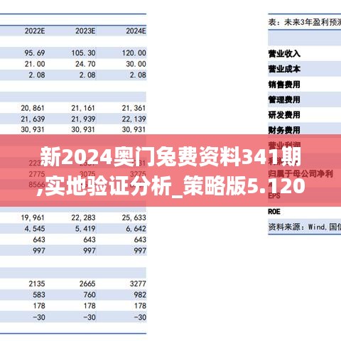 新2024奥门兔费资料341期,实地验证分析_策略版5.120