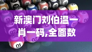 新澳门刘伯温一肖一码,全面数据执行计划_户外版11.987