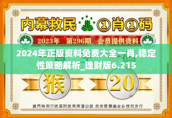 2024年正版资料免费大全一肖,稳定性策略解析_理财版6.215