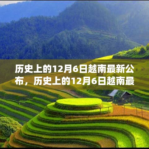 历史上的12月6日越南事件深度解析与探索