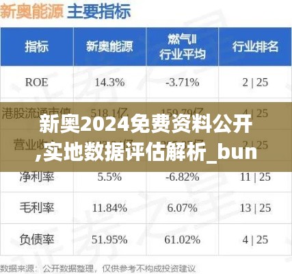 新奥2024免费资料公开,实地数据评估解析_bundle10.175