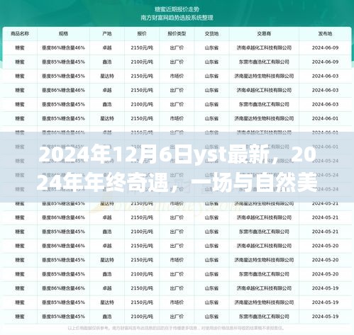 2024年终奇遇，与自然美景的不期而遇之旅