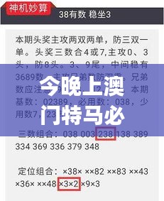 今晚上澳门特马必中一肖,重要性解释落实方法_V版6.946