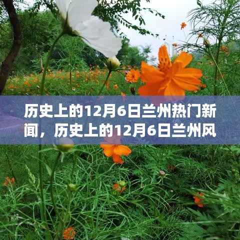 蛾眉曼睩 第3页