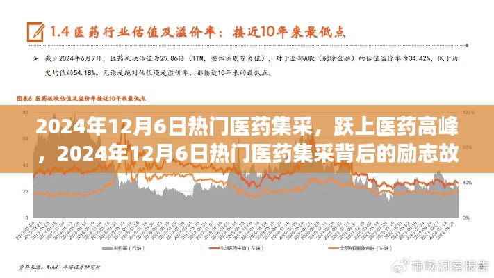 2024年12月6日热门医药集采，跃上医药高峰，2024年12月6日热门医药集采背后的励志故事