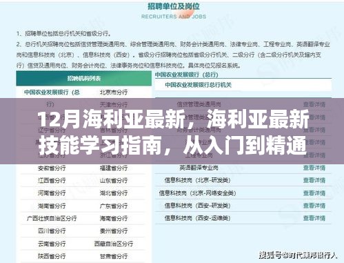 从入门到精通，海利亚最新技能学习指南全解析（12月最新版）