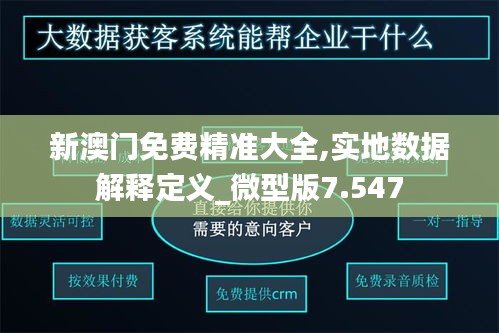 新澳门免费精准大全,实地数据解释定义_微型版7.547