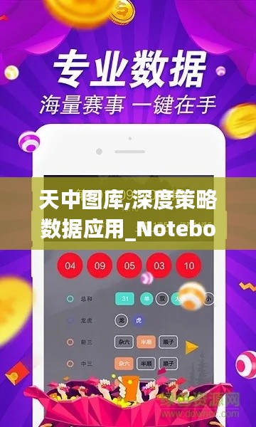 天中图库,深度策略数据应用_Notebook9.198