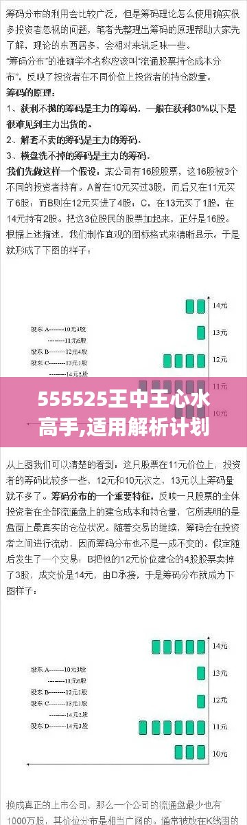 555525王中王心水高手,适用解析计划方案_5DM10.478