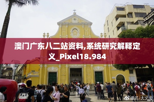 澳门广东八二站资料,系统研究解释定义_Pixel18.984