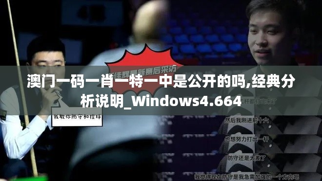 澳门一码一肖一特一中是公开的吗,经典分析说明_Windows4.664