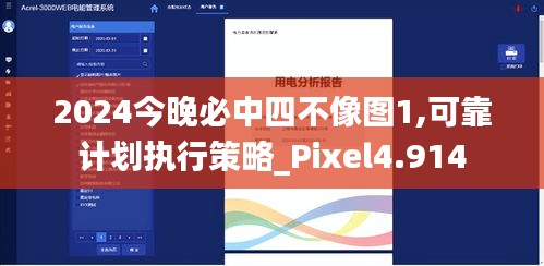 2024今晚必中四不像图1,可靠计划执行策略_Pixel4.914