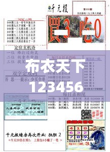 布衣天下123456今天版精华布衣图,试机号码,实地考察数据分析_GM版6.911