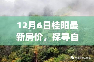 12月6日桂阳最新房价，探寻自然美景之旅，12月桂阳最新房价，带你寻找内心的宁静与平和