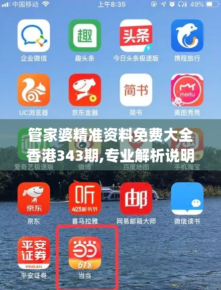 管家婆精准资料免费大全香港343期,专业解析说明_微型版3.547