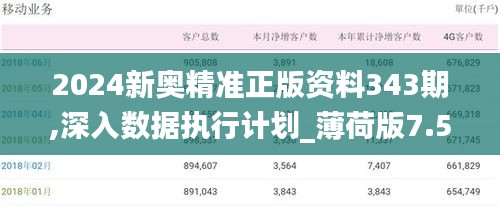 2024新奥精准正版资料343期,深入数据执行计划_薄荷版7.556