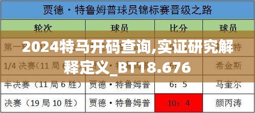 2024特马开码查询,实证研究解释定义_BT18.676