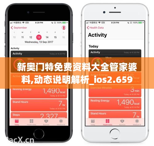 新奥门特免费资料大全管家婆料,动态说明解析_ios2.659