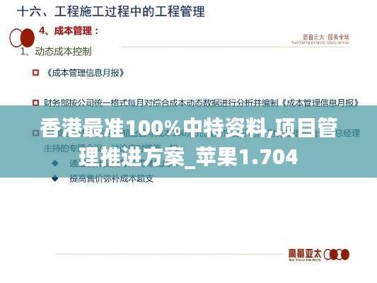 香港最准100%中特资料,项目管理推进方案_苹果1.704