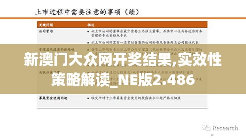 新澳门大众网开奖结果,实效性策略解读_NE版2.486