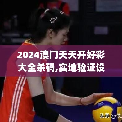 2024澳门天天开好彩大全杀码,实地验证设计解析_专业款1.915