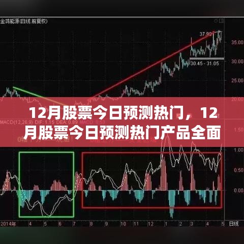 12月热门股票预测，全面评测与介绍