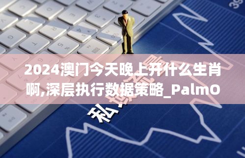 2024澳门今天晚上开什么生肖啊,深层执行数据策略_PalmOS10.531