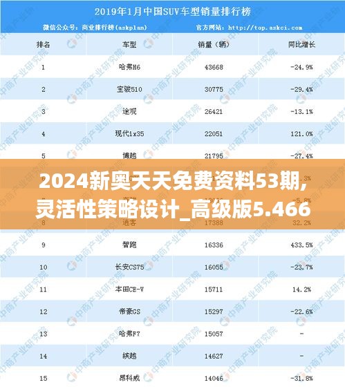 2024新奥天天免费资料53期,灵活性策略设计_高级版5.466