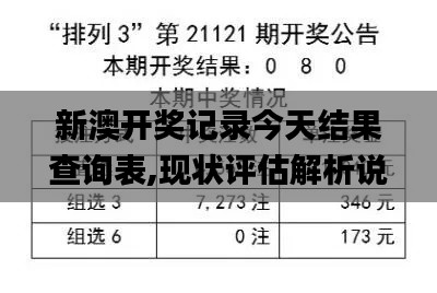 新澳开奖记录今天结果查询表,现状评估解析说明_入门版1.540