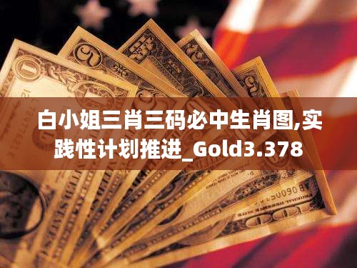 白小姐三肖三码必中生肖图,实践性计划推进_Gold3.378