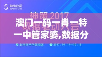 澳门一码一肖一特一中管家婆,数据分析驱动解析_复刻款6.341