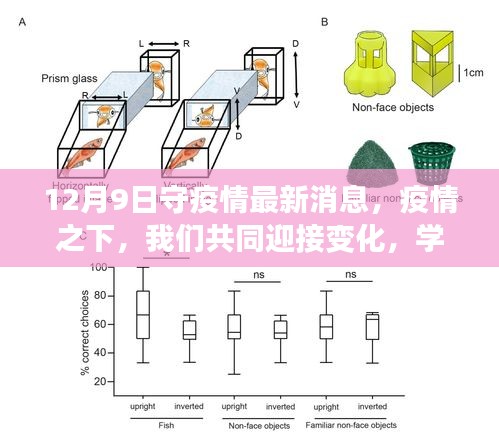 疫情下的希望之光，共同迎接变化，学习成就自信 —— 12月9日最新疫情消息