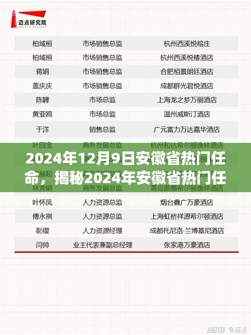 揭秘2024年安徽省热门任命，产品特性、用户体验与目标用户全面解读