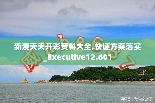 新澳天天开彩资料大全,快速方案落实_Executive12.601