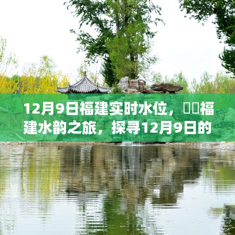 福建水韵之旅，探寻实时水位，共舞自然美景的快乐时光（12月9日）