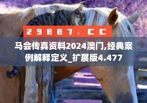 马会传真资料2024澳门,经典案例解释定义_扩展版4.477