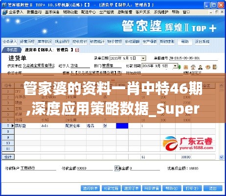 管家婆的资料一肖中特46期,深度应用策略数据_Superior8.602