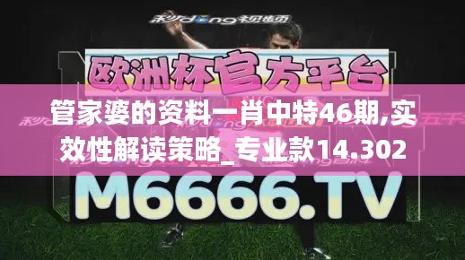 管家婆的资料一肖中特46期,实效性解读策略_专业款14.302