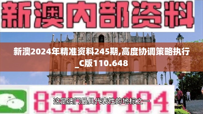 新澳2024年精准资料245期,高度协调策略执行_C版110.648