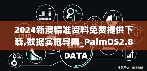 2024新澳精准资料免费提供下载,数据实施导向_PalmOS2.857