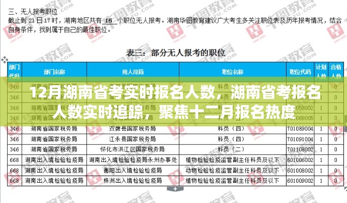 湖南省考报名人数实时追踪，聚焦十二月报名热度